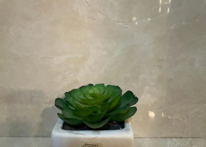 Gorica Hill Luxury Διαμέρισμα Ποντγορίτσα